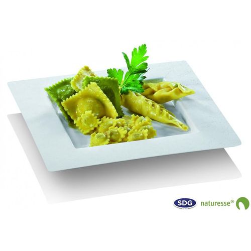 Assiette Pulpe De Cellulose Elégance 22,4x22,4 Cm - Sdg - Lot De 350