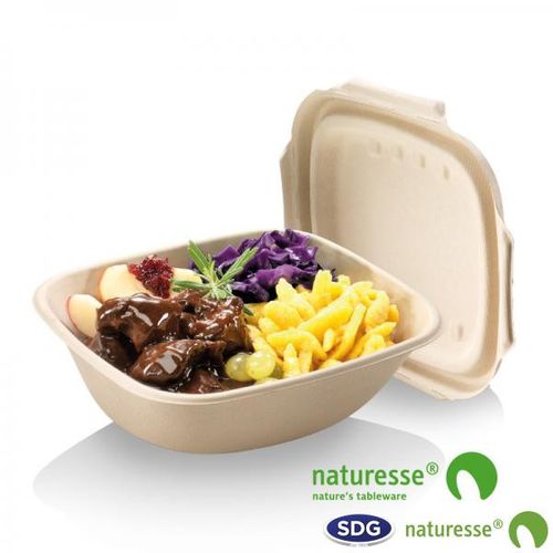 Bol Rectangulaire Pulpe De Cellulose Nature 600 à 900 Ml - Sdg - Lot De 500