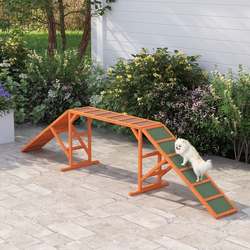 Rampe D'agilité Pour Chien Avec Barres De Sécurité, Surface Antidérapante, 325x55x69 Cm, Orange