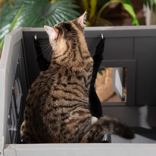 Maison Pour Chat 2 Étages En Sapin Avec Toit Bitumé, Balcon Et Hublots, Gris