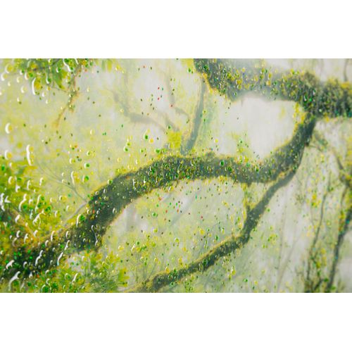 Toile Encadrée Lacquée Forêt 90x60 Cm Pour Salons Et Chambres Relaxantes