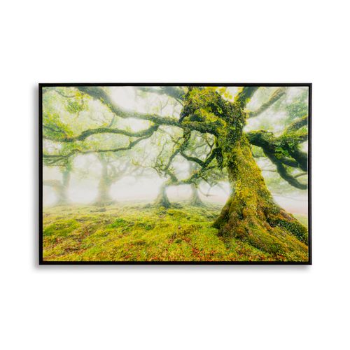 Toile Encadrée Lacquée Forêt 90x60 Cm Pour Salons Et Chambres Relaxantes