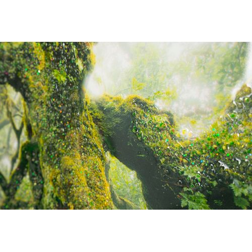 Toile Encadrée Lacquée Forêt 90x60 Cm Pour Salons Et Chambres Relaxantes