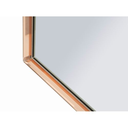 Miroir Mural Rose 62x100 Cm Avec Cadre Profilé Et Design Raffiné