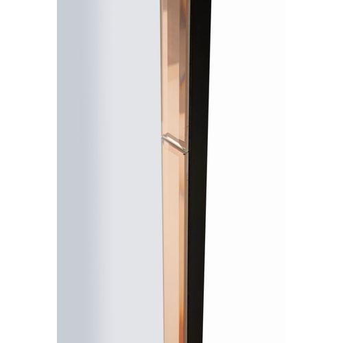 Miroir Mural Rose Rectangulaire 55x150 Cm Avec Cadre Fin Moderne Et Élégant