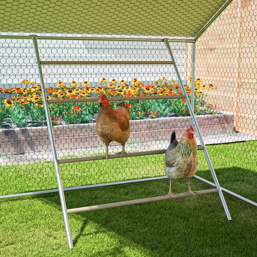 Poulailler 3x2m Avec Échelle, Serrure Sécurisée Et Toit Pe Étanche Pour Volailles