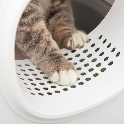 Litière Pour Chat Avec Couvercle Et Tunnel XXL Avec Grille Anti-poussière, 55x40x39 Cm