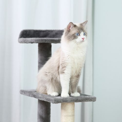 Arbre à Chat 5 Niveaux Avec Escaliers, Plateformes Et Poteaux En Sisal, Beige Et Gris