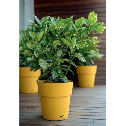 Pot De Fleur Ethica - 2 L - 40 X H39 Cm - Avec Réserve D'eau - Moutarde