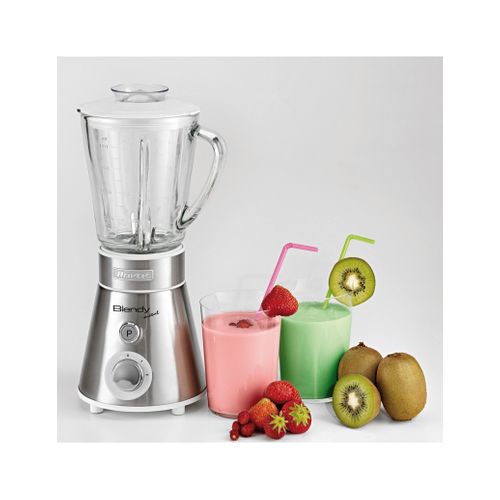 Blender inox - modèle 561