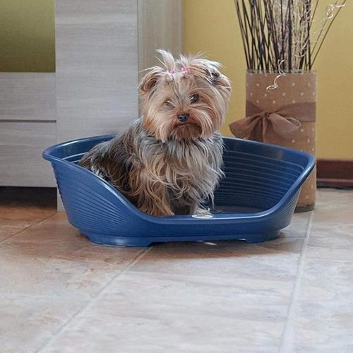 Panier-corbeille Siesta Deluxe Taille 6 - 70,5*52*23 Cm - Fuschia -