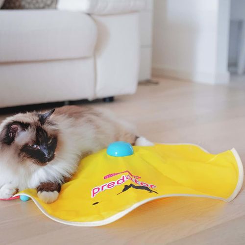 Jouet Électronique Pour Chats Predator Jaune