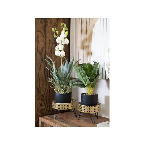 Lot De 2 Cache-pots Design "bossy" 20cm Doré