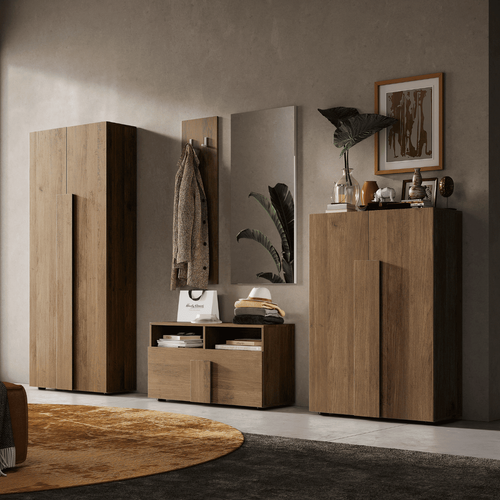 Armoire D'entrée 2 Portes, 2 Étagères Et Une Penderie H187 Cm