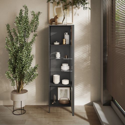 Vitrine 1 Porte Sans Éclairage H203 Cm