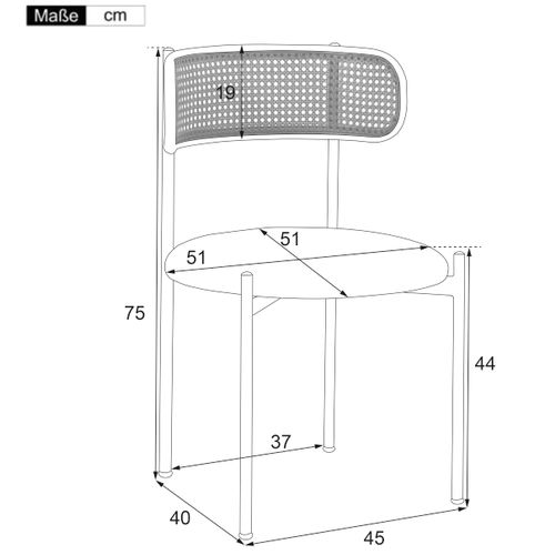 Lot De 2 Chaises Salle à Manger En Cannage Et Velours Gris