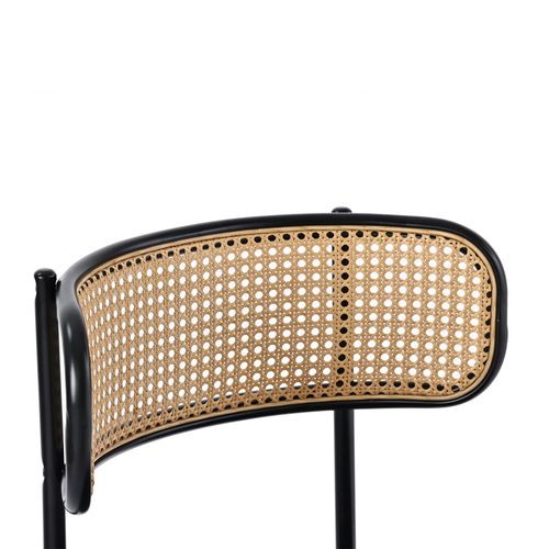 Lot De 2 Chaises Salle à Manger En Cannage Et Velours Gris