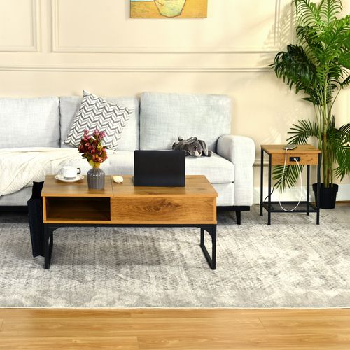 Table Basse De Salon Avec Plateau Relevable Poche De Rangement Et Compartiment Caché, Chêne