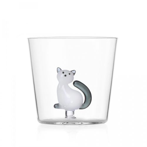 Verre Chat Blanc Et Gris Tabby Cat