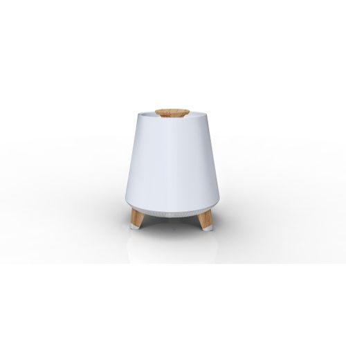 Enceinte Bluetooth Akbt80 10 W Mono Blanc, Bois
