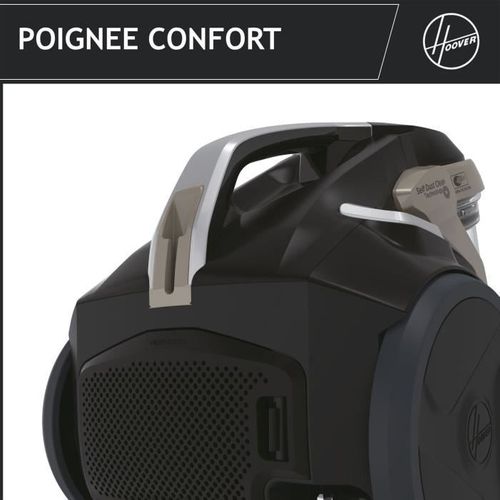 Aspirateur Traineau Sans Sac - Hp720pet - 850 W - 68 dBa - Cassette 2 L - Spécial Parquet Et Animaux