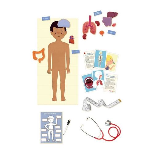 Le Corps Humain Jeux D'apprentissage