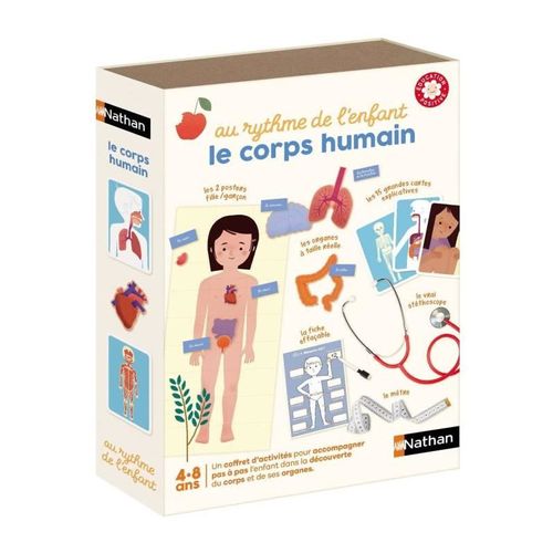 Le Corps Humain Jeux D'apprentissage