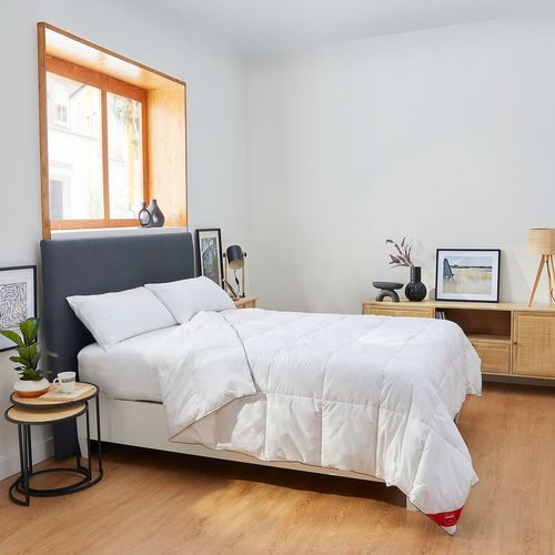 Couette Nordique Premium 180x220cm- 96% Duvet- Hiver- Lit 100/105
