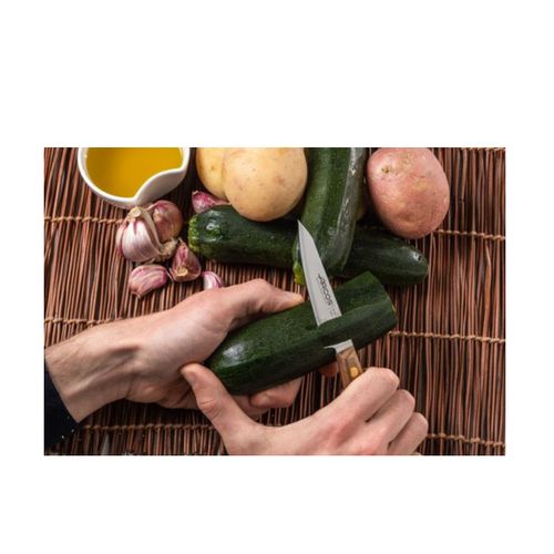 Couteau D'office 10cm Acier Inoxydable - 165000