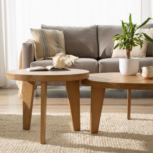 Ensemble De 2 Tables Basses En Bois Massif De Manguier