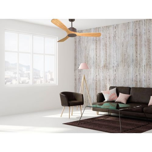 Ventilateur De Plafond Ø132 Cm Avec Wifi Réversible Hypersilence