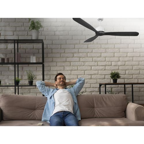 Ventilateur De Plafond Ø166 Cm Avec Wifi Réversible Hypersilence