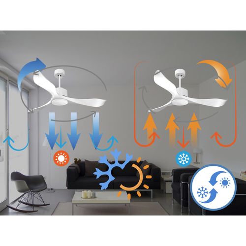 Ventilateur De Plafond Wifi Moteur à Courant Continu Télécommande Adaptateur 2/3 Lames Hypersilence