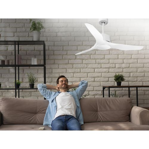 Ventilateur De Plafond Ø127 Cm Avec Wifi Réversible Hypersilence