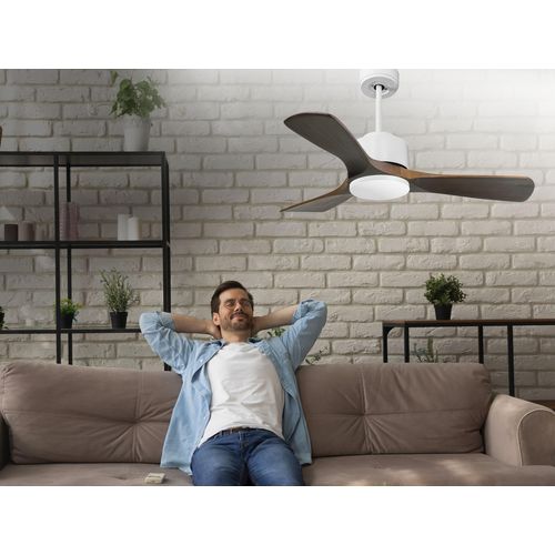 Ventilateur De Plafond Ø106 Cm Avec Wifi Réversible Hypersilence