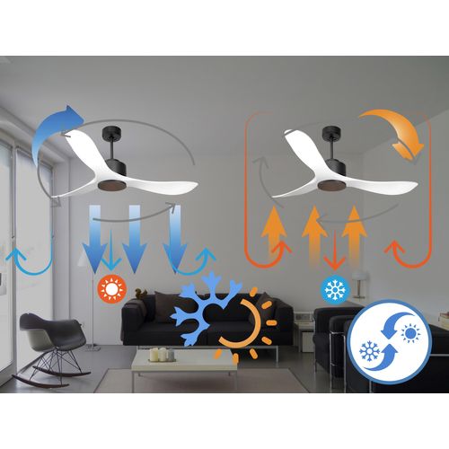 Ventilateur De Plafond Wifi Moteur à Courant Continu Télécommande Hypersilence Mémoire Shopify Vendi