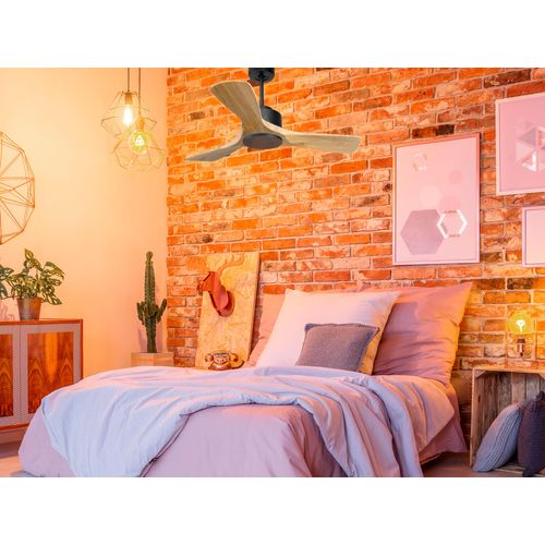 Ventilateur De Plafond Ø106 Cm Avec Wifi Réversible Hypersilence