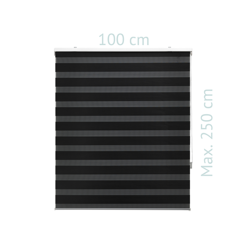 Store Enrouleur Polyester Translucide Gris 180 X 180 100x250x1 Cm Noir