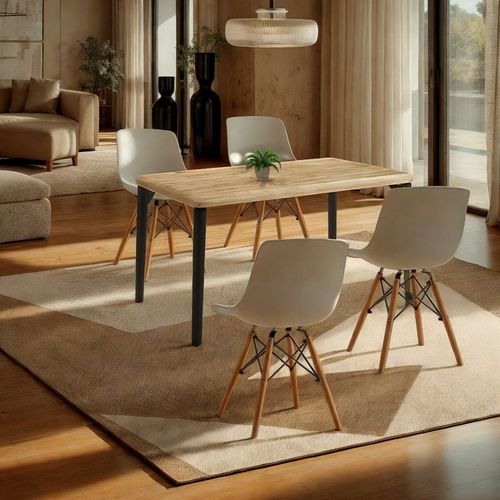 Lot De 4 Chaises De Salle à Manger Fredo