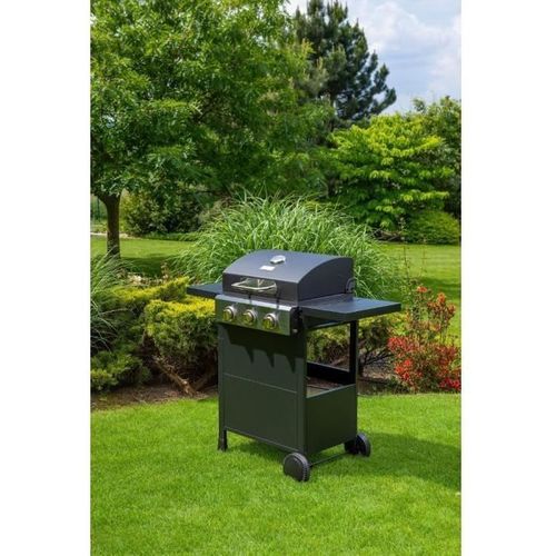 Barbecue gaz Gril - Fzg 3003