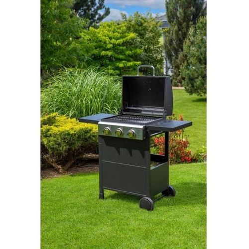 Barbecue gaz Gril - Fzg 3003