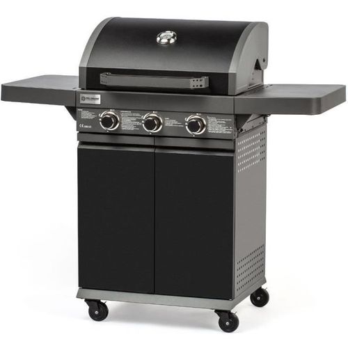 Barbecue gaz Gril - Fzg 3006