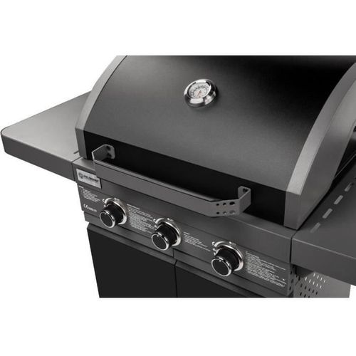 Barbecue gaz Gril - Fzg 3006