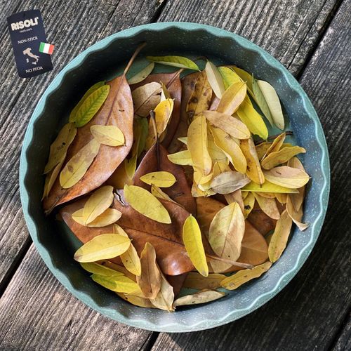 Moule à Gâteau Royal D'alù, Aluminium Moulé Sous Pression, Vert, 24x24x5 Cm