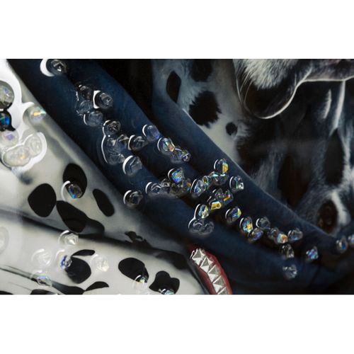 Impression Sur Toile Dalmatien, Bois, Multicouleur, 53x3x73 Cm