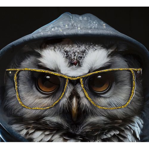 Impression Sur Toile Hibou, Bois, Multicouleur, 53x3x73 Cm