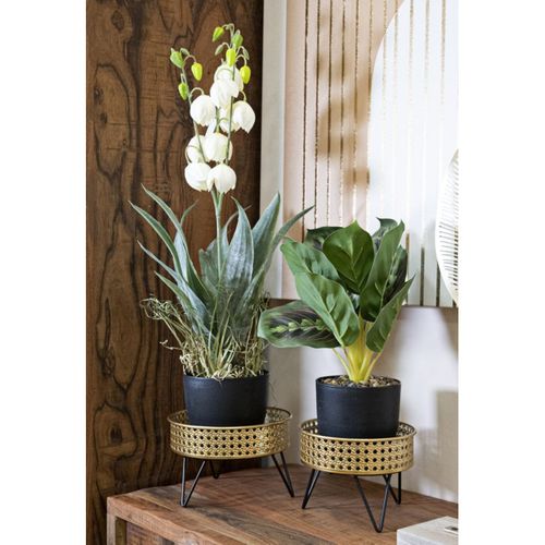 Lot De 2 Cache Pots Mf410, Métal, Or, 20,5x20,5x13 Cm