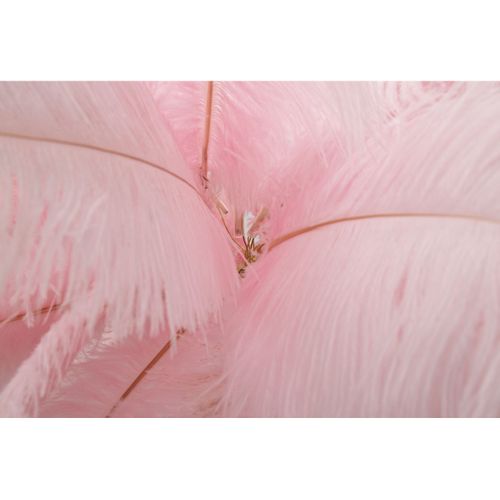 Lampadaire Plumes 10, Métal, Rose, 55x55x160 Cm