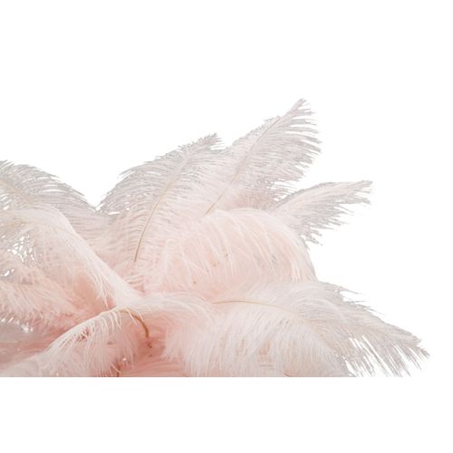 Lampe à Poser Plumes 2, Métal, Rose, 40x40x55 Cm