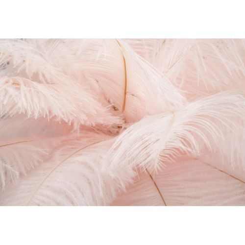 Lampe à Poser Plumes 2, Métal, Rose, 40x40x55 Cm